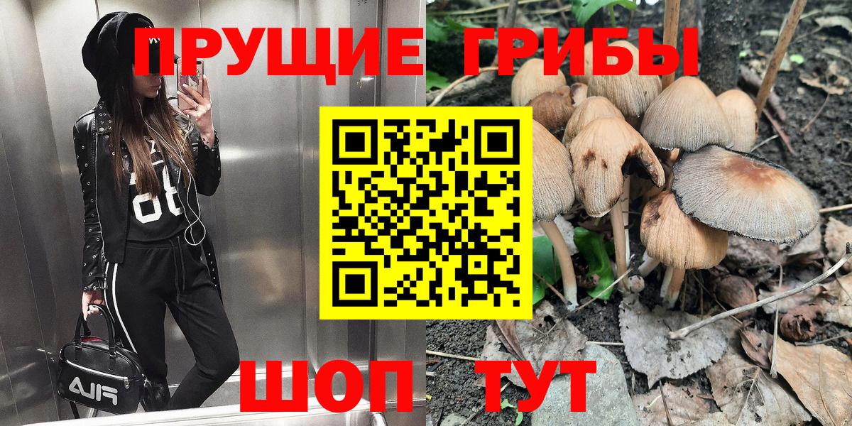 Галлюциногенные грибы Cubensis  где найти наркотики  Домодедово  Вход с VPN 